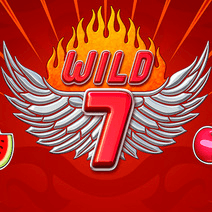 Wild 7